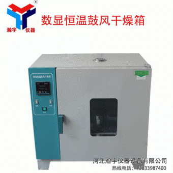 電熱鼓風(fēng)干燥箱